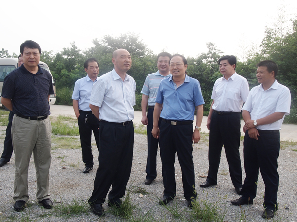 省林業(yè)產(chǎn)業(yè)集群調(diào)研組來廣義茶印象園調(diào)研