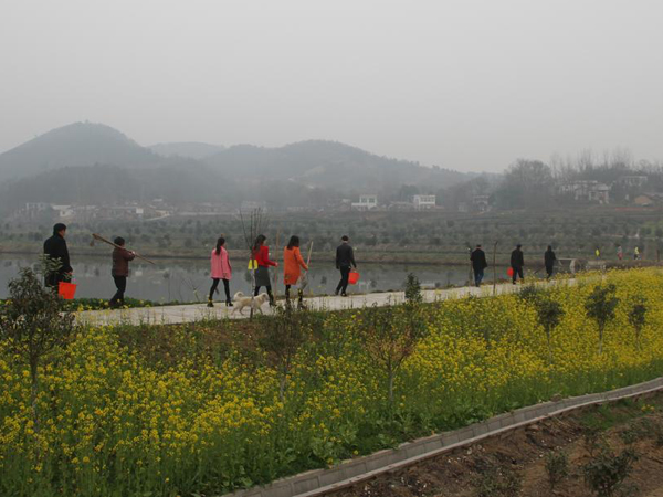 2015年廣義茶葉公司春季植樹活動