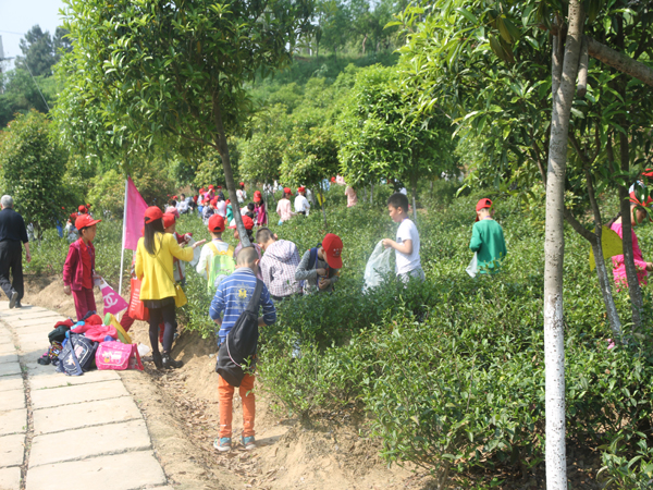 廣義水土保持教育實(shí)踐活動(dòng)